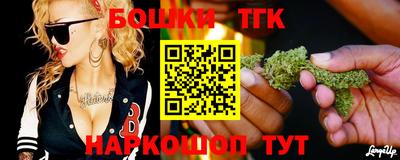 крисы Кунгур