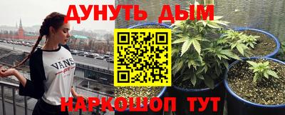 крисы Кунгур